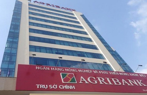 2020 kiểm toán ngân hàng lớn, xác định thực trạng nợ xấu