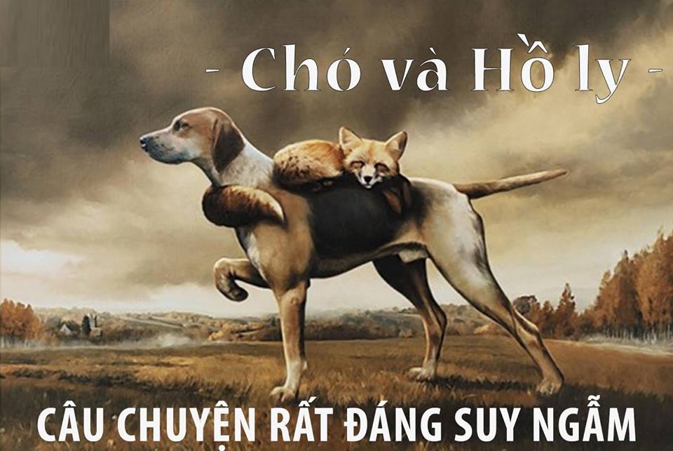 Chó và hồ ly... và câu chuyện về sự lương thiện