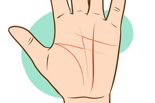 Có các loại chỉ tay này chắc chắn cuộc đời bạn sẽ giàu sang