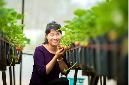 Cô gái giúp bà con tiêu thụ 5 tấn khoai trong 1 tuần thành bà chủ trăm triệu