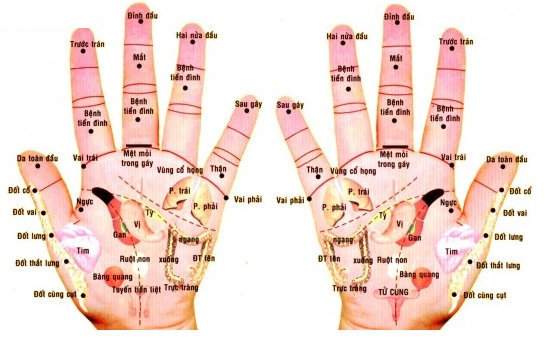 Mười phút biết mình khỏe, yếu 
