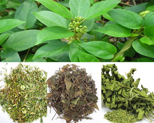 So sánh giá của tiểu đường Kidofa với một số phương pháp điều trị khác
