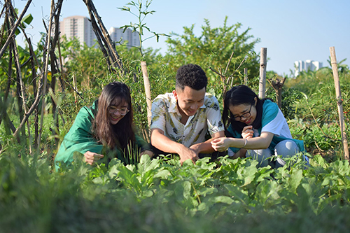 ''Trải nghiệm xanh 2019'' - cơ hội cho giới trẻ tìm hiểu về môi trường và xây dựng lối sống sinh thái