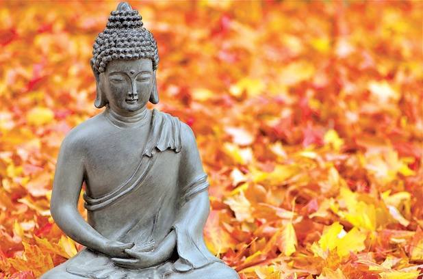 Tu hành không phải chỉ vì để gặp Phật, mà là để gặp chính mình