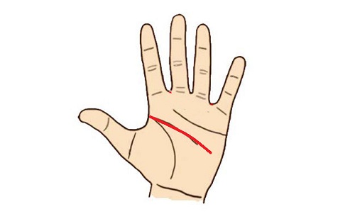 đường trí đạo