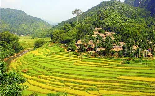 Du khảo Pù Luông, miền đất thiêng của Chúa Chổm (Kỳ I): Kỳ lạ suối Nủa mỗi năm 3 lần cá nổi - Ảnh 6