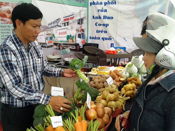 Hợp tác xã triệu đô