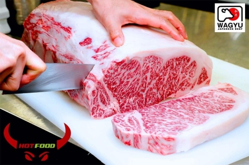 HOTFOOD - Thế giới bò sạch - Sạch từ tâm