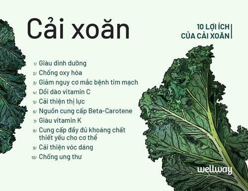 10 lợi ích không thể bỏ qua của cải xoăn