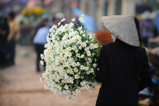 Nhớ một mùa hoa Thạch thảo