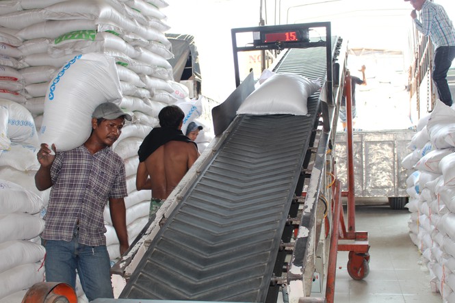 Nhiều doanh nghiệp trúng thầu cung cấp gạo dự trữ từ chối ký hợp đồng
