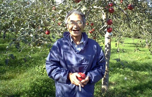 'Quả táo thần kỳ của Kimura': Câu chuyện khích lệ ý chí con người