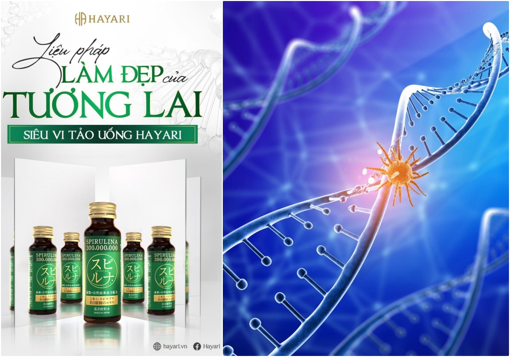 Axit Nucleic - Bước đột phá trong 