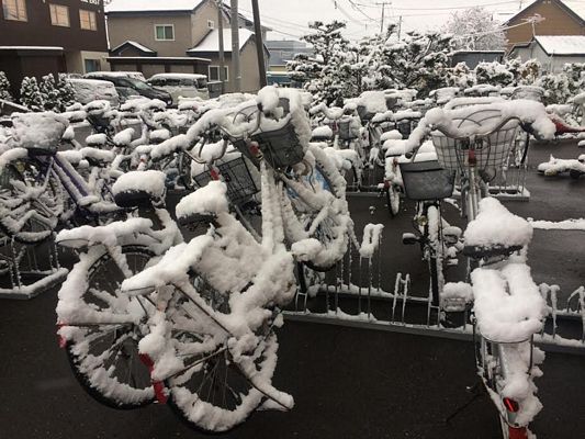 Đón mùa Đông đến sớm ở Hokkaido