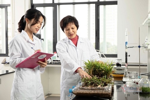 Nữ tiến sĩ với giấc mơ hồi sinh những 'vùng đất chết' ở Việt Nam