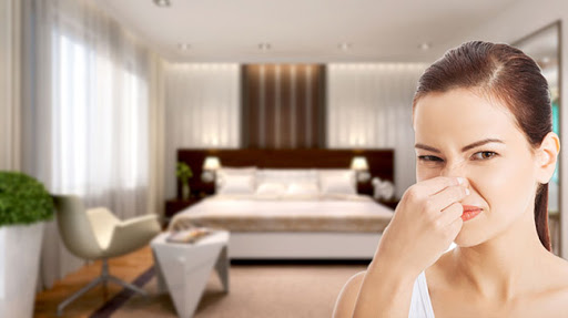 Sản phẩm khử mùi nào tốt cho không gian bạn sống?