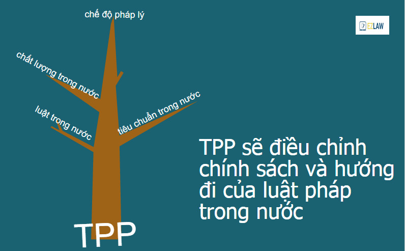 TPP Việt Nam Thương hiệu vàng, thương hiệu vàng sản phẩm dịch vụ, thương hiệu vàng công nghiệp việt nam, thương hiệu vàng nông nghiệp việt nam, thương hiệu vàng thuỷ sản việt nam, thương hiệu vàng ngành y tế việt nam, thương hiệu vàng bạc đá quý việt nam, thương hiệu vàng quốc gia việt nam, thương hiệu vàng quốc tế, thương hiệu vàng hội nhập kinh tế quốc tế, thương hiệu vàng asean, thương hiệu vàng đông nam á, thương hiệu nhãn hiệu vàng việt nam, trang vàng thương hiệu việt nam, thương hiệu sao vàng đất việt, thương hiệu vàng du lịch việt nam, thương hiệu vàng sáng tạo việt nam, thương hiệu vàng xây dựng việt nam thương hiệu vàng nội thất việt nam, thương hiệu vàng châu á, thương hiệu vàng d