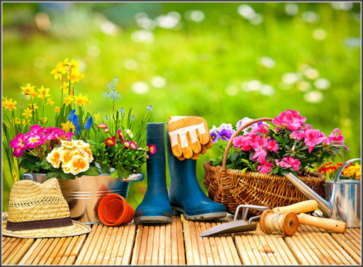 Chăm sóc vườn cây xanh