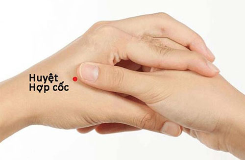 Bệnh trĩ không nguy hiểm nhưng lại gây nhiều phiền toái cho bệnh nhân.