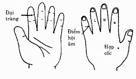 Bệnh trĩ không nguy hiểm nhưng lại gây nhiều phiền toái cho bệnh nhân.
