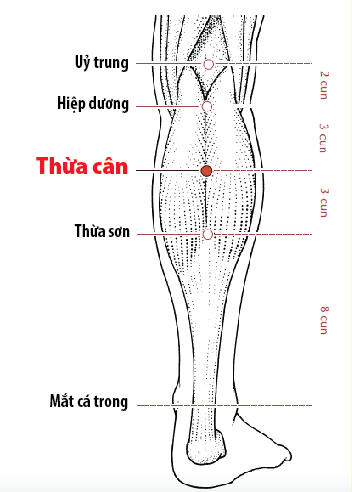 Bệnh trĩ không nguy hiểm nhưng lại gây nhiều phiền toái cho bệnh nhân. Huyệt thừa sơn