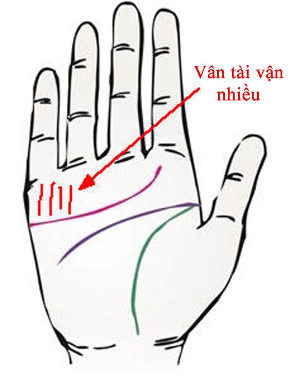 Có nhiều vân tài vận