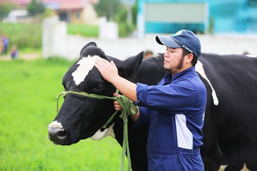 hoa hậu bò sữa