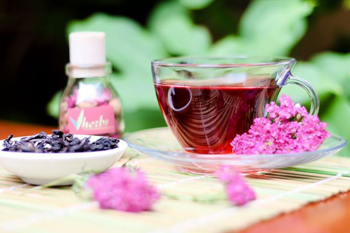 Trà Ngũ Hành, an lành, mạnh khoẻ