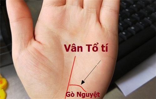 Người sở hữu đường vân tay này có số hưởng, phú quý suốt đời - 7