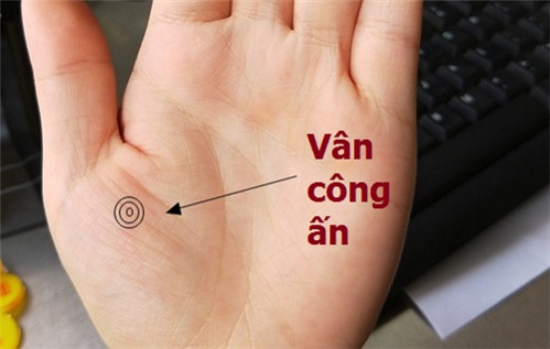 Người sở hữu đường vân tay này có số hưởng, phú quý suốt đời - 8