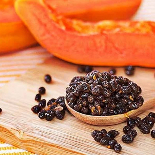 Hạt đu đủ có thể sử dụng bằng nhiều cách để chữa bệnh hoặc hỗ trợ phòng bệnh.