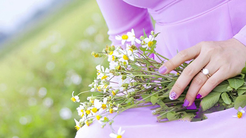 Hoa xuyến chi sau khi phơi khô còn được dùng như trà làm thanh mát cơ thể