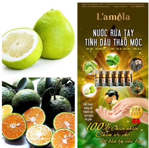 tinh dầu thiên nhiên siêu sạch l’amela – hương thơm của chất lượng!