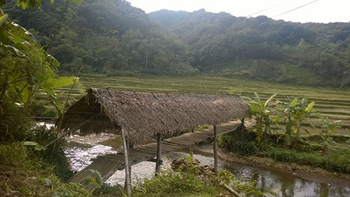 Du khảo Pù Luông, miền đất thiêng của Chúa Chổm (Kỳ I): Kỳ lạ suối Nủa mỗi năm 3 lần cá nổi - Ảnh 3