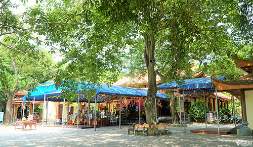 Cô Bơ Bông là một thánh cô nổi tiếng trong Tứ phủ Thánh cô.