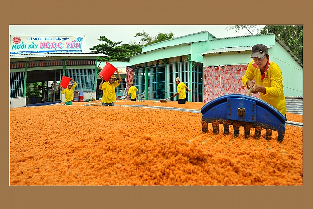 công nhân cơ sở muối sấy ngọc yến của ông huỳnh văn bé