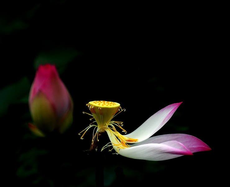 Đời là vô thường nhưng sống phải có trách nhiệm, trường tồn, vô thường, biến đổi, trách nhiệm, hạnh phúc, ước mơ, suy nghĩ tiêu cực, Thương hiệu vàng,thương hiệu vàng quốc gia, thương hiệu vàng việt nam, thương hiệu vàng sản phẩm dịch vụ , thương hiệu vàng công nghiệp việt nam, thương hiệu vàng
