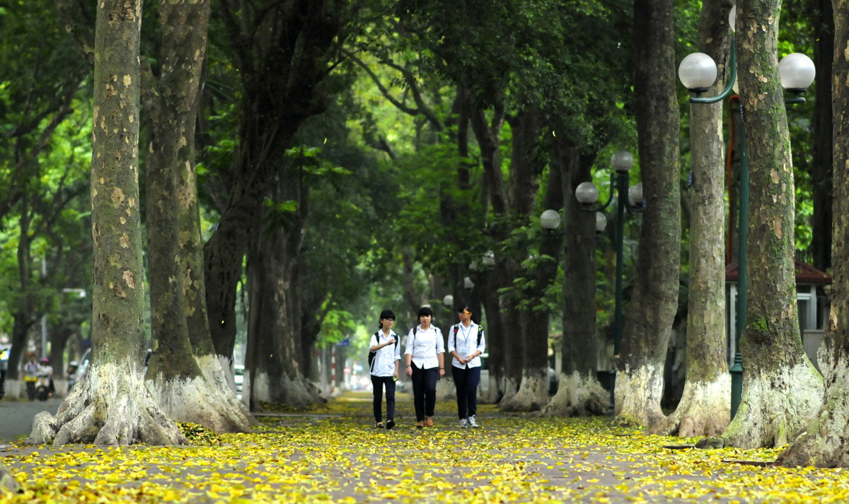 Thương hiệu vàng, thương hiệu vàng sản phẩm dịch vụ , thương hiệu vàng công nghiệp việt nam, thương hiệu vàng nông nghiệp việt nam , thương hiệu vàng thuỷ sản việt nam, thương hiệu vàng ngành y tế việt nam, thương hiệu vàng bạc đá quý việt nam, thương hiệu vàng quốc gia việt nam, thương hiệu vàng quốc tế, thương hiệu vàng hội nhập kinh tế quốc tế, thương hiệu vàng asean, thương hiệu vàng đông nam á, thương hiệu nhãn hiệu vàng việt nam , trang vàng thương hiệu việt nam, thương hiệu sao vàng đất việt, thương hiệu vàng du lịch việt nam, thương hiệu vàng sáng tạo việt nam, thương hiệu vàng xây dựng việt nam thương hiệu vàng nội thất việt nam, thương hiệu vàng châu á, thương hiệu vàng du lịch dịch vụ việt nam, thương hiệu vàng châu á, thương hiệu vàng châu á thái bình dương