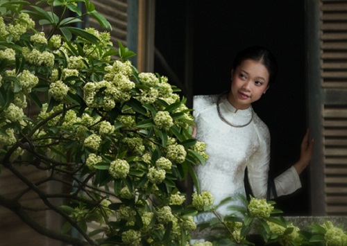 Thương hiệu vàng, thương hiệu vàng sản phẩm dịch vụ , thương hiệu vàng công nghiệp việt nam, thương hiệu vàng nông nghiệp việt nam , thương hiệu vàng thuỷ sản việt nam, thương hiệu vàng ngành y tế việt nam, thương hiệu vàng bạc đá quý việt nam, thương hiệu vàng quốc gia việt nam, thương hiệu vàng quốc tế, thương hiệu vàng hội nhập kinh tế quốc tế, thương hiệu vàng asean, thương hiệu vàng đông nam á, thương hiệu nhãn hiệu vàng việt nam , trang vàng thương hiệu việt nam, thương hiệu sao vàng đất việt, thương hiệu vàng du lịch việt nam, thương hiệu vàng sáng tạo việt nam, thương hiệu vàng xây dựng việt nam thương hiệu vàng nội thất việt nam, thương hiệu vàng châu á, thương hiệu vàng du lịch dịch vụ việt nam, thương hiệu vàng châu á, thương hiệu vàng châu á thái bình dương