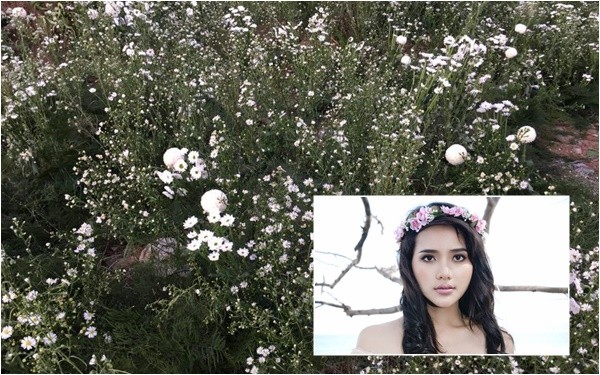 Siêu mẫu Phan Như Thảo bí mật kết hôn với chồng cũ Ngọc Thúy