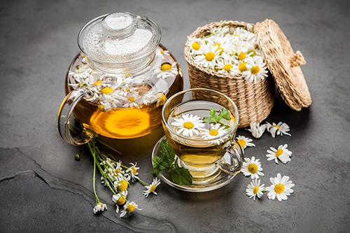 Uống trà hoa cúc trị mất ngủ là phương pháp lâu đời được truyền lại